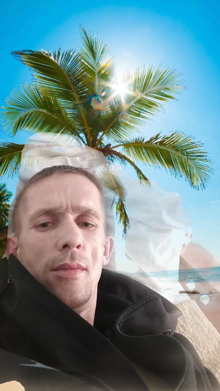  48077823  , 33 ,    