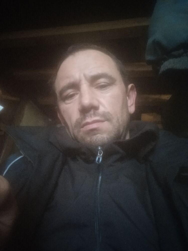  31645893  , 41 ,    