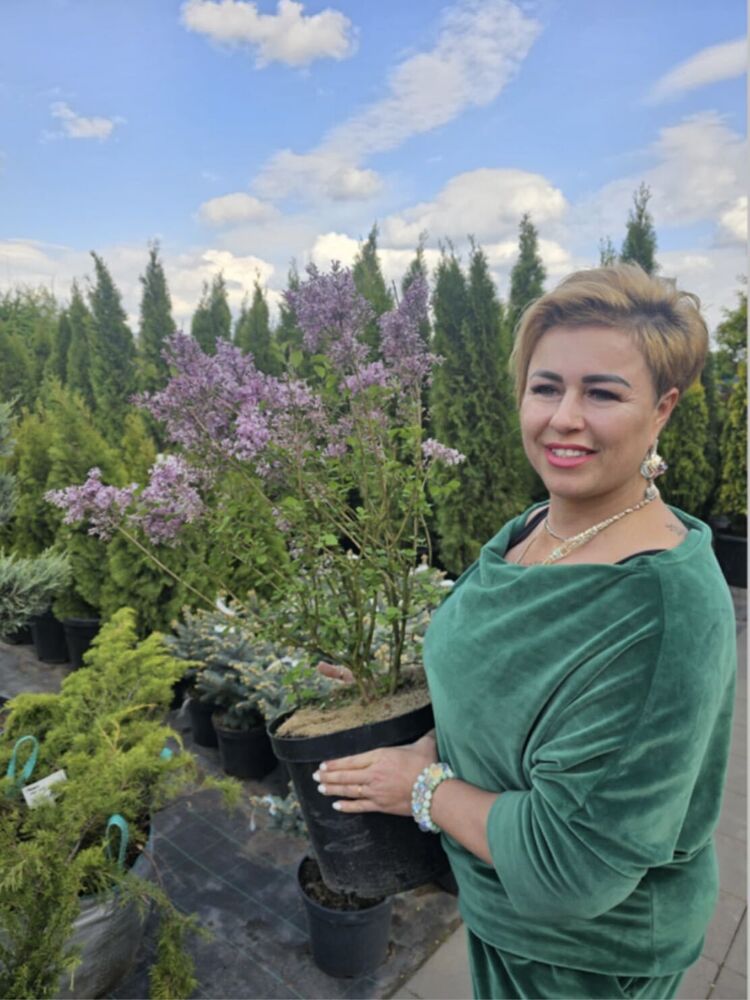 ���������� ���������� �����, ���� ������� ������, 45 ���, ������������ ��� ������, ����� � ���������, c�������� ���������, ���������