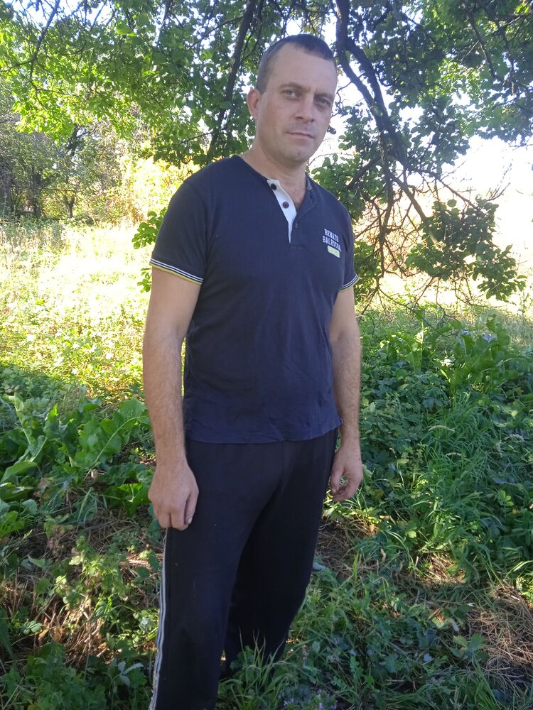  37883653  , 41 ,    