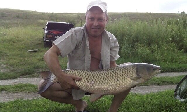 ���� 43847463 ������� ������, 62 ����, ���� ���������� � ������