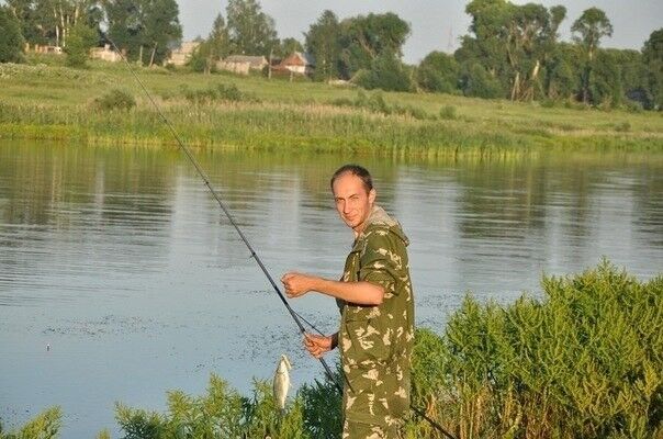 ���� 9556783 ������� ������, 38 ���, ���� ���������� � �������������