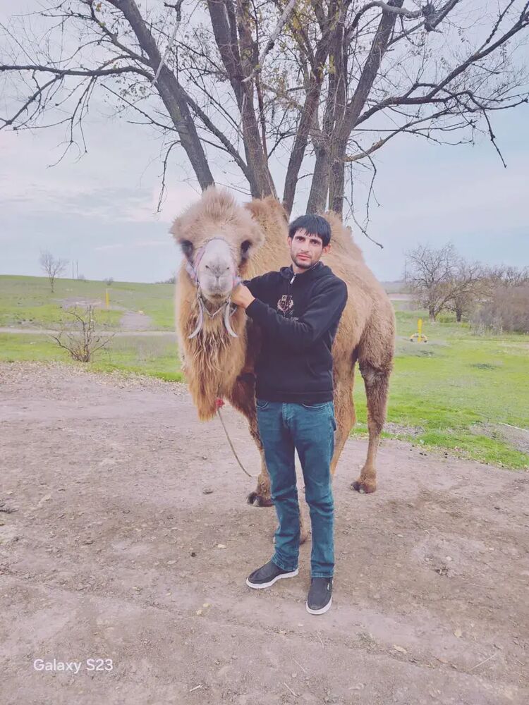 ���������� ������-��-����, ���� ������� ������, 37 ���, ������������ ��� ������, ����� � ���������