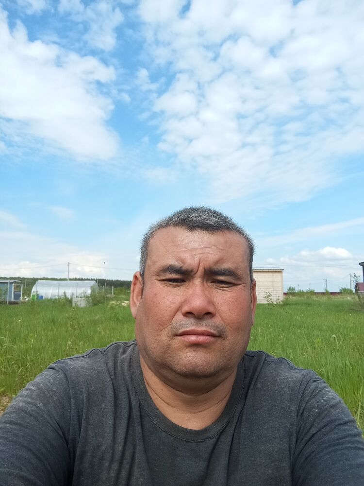  44281833  , 37 ,    