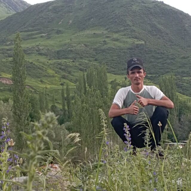 ���������� ������, ���� ������� ������, 31 ���, ������������ ��� ������, ����� � ���������