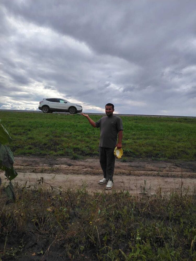  53945693  , 28 ,    -