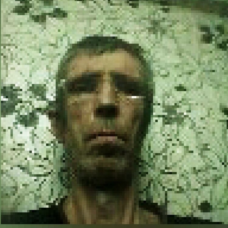 12356043  , 64 ,    
