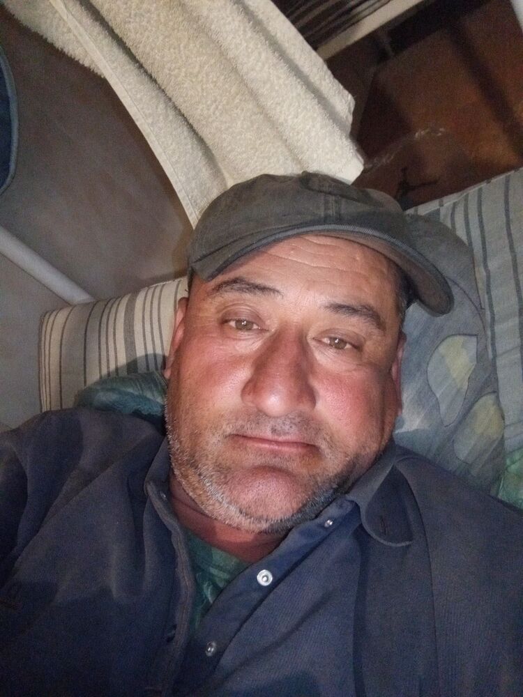  53505803  , 47 ,    -