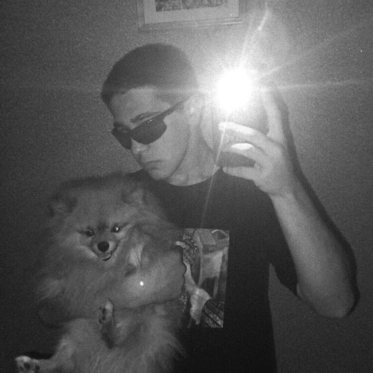 ���� 44209043 ����� ˸��, 19 ���, ���� ���������� � ���������