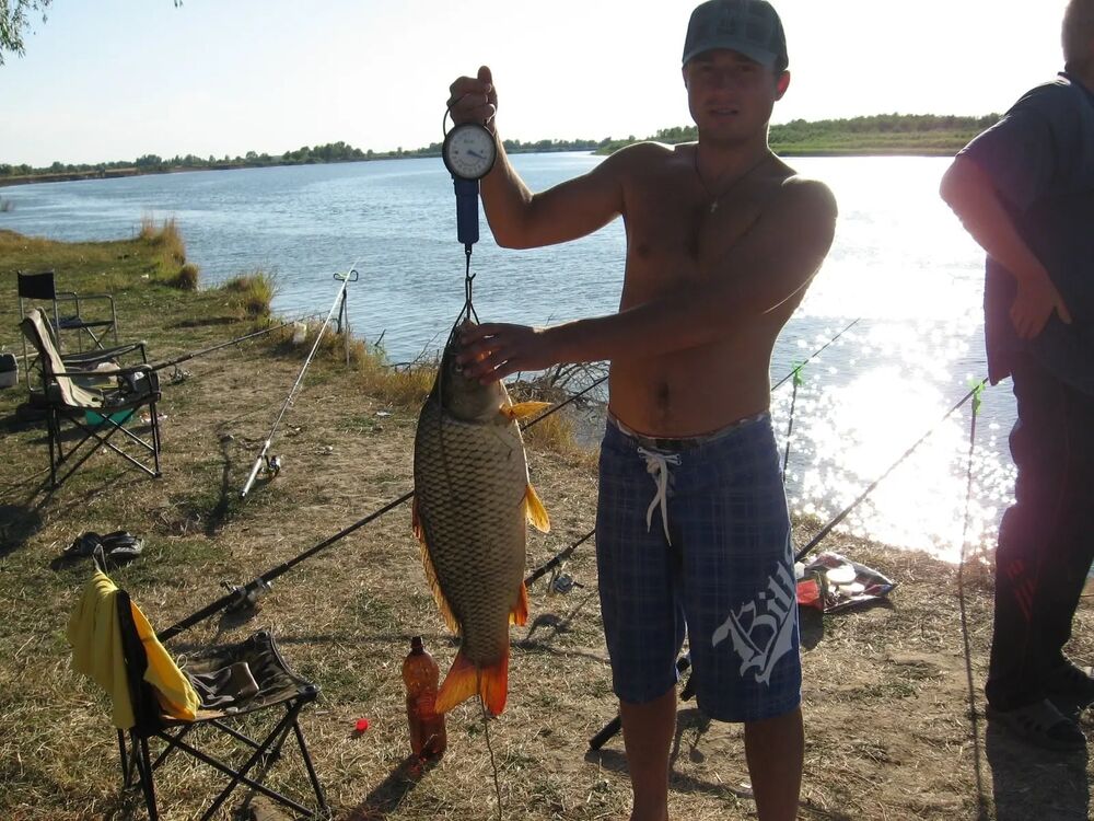  ,   Denis, 37 ,     , c , 