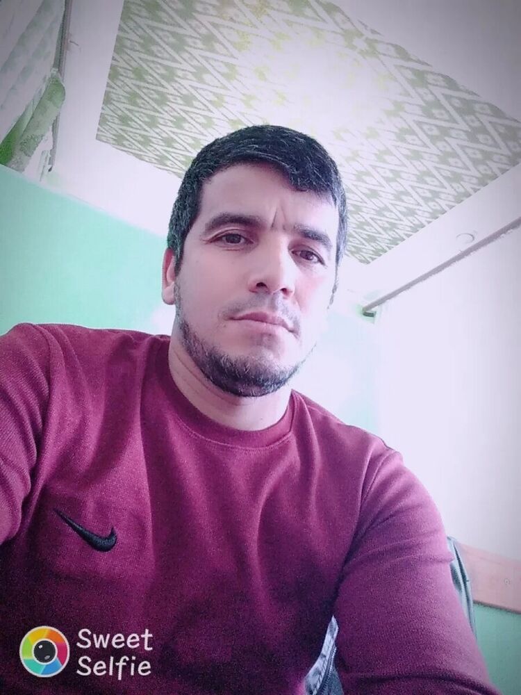  22184813  , 43 ,    