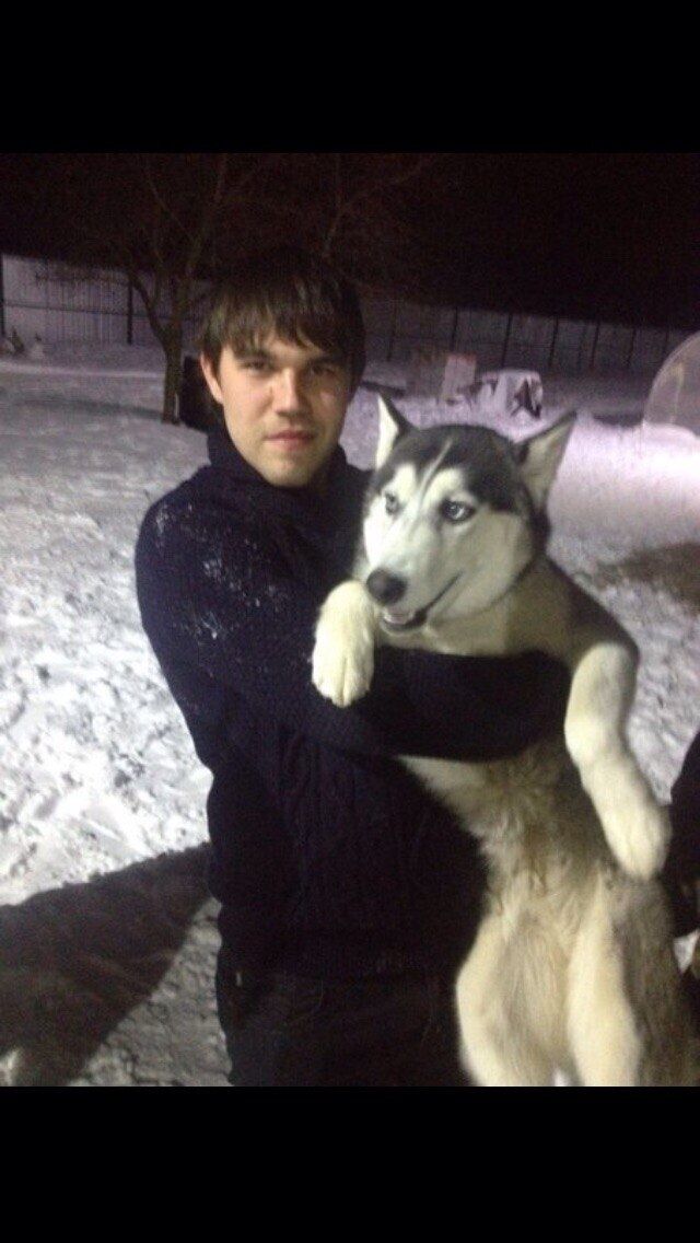 ���� 31673363 ������� ����, 33 ����, ���� ���������� � ������