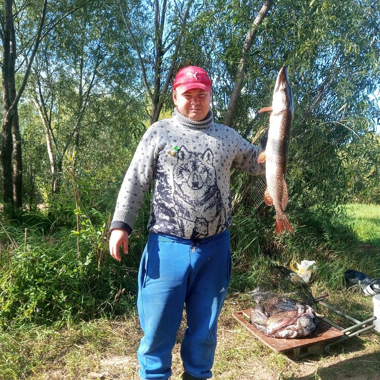 ���������� ������-���, ���� ������� ����, 34 ����, ������������ ��� ������, ����� � ���������