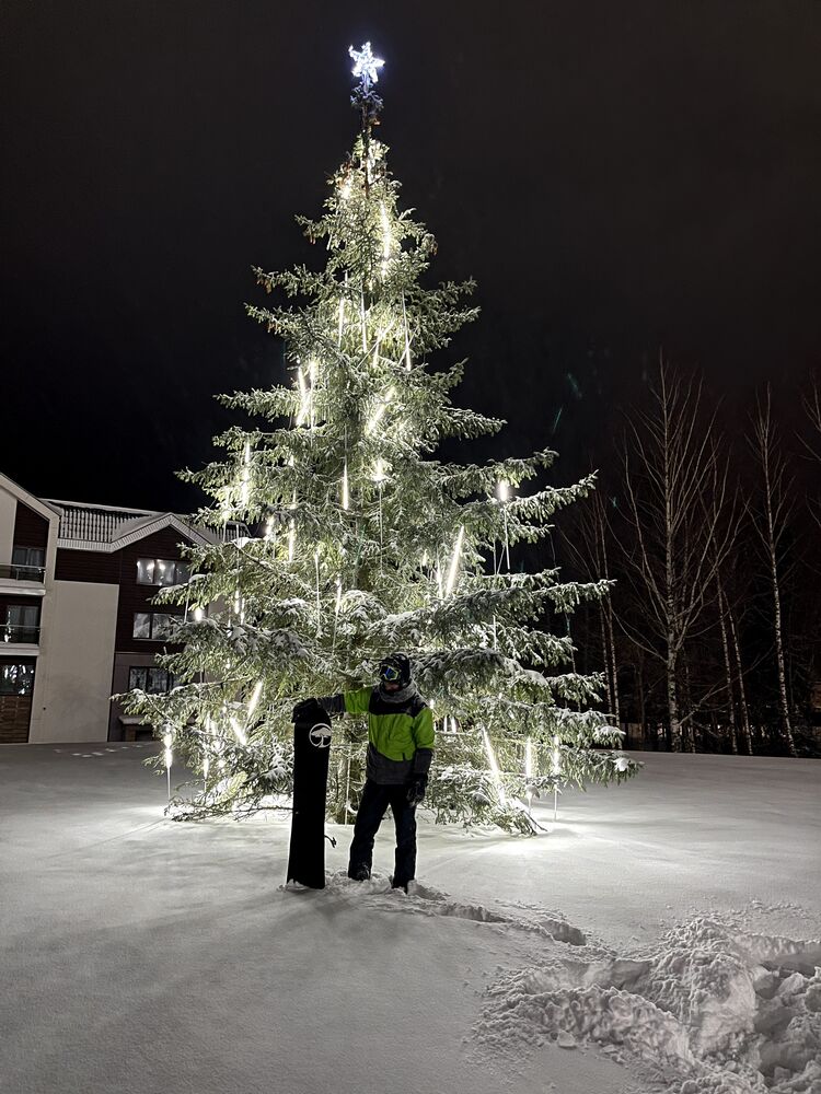 ���������� �����, ���� ������� ������, 29 ���, ������������ ��� ���������