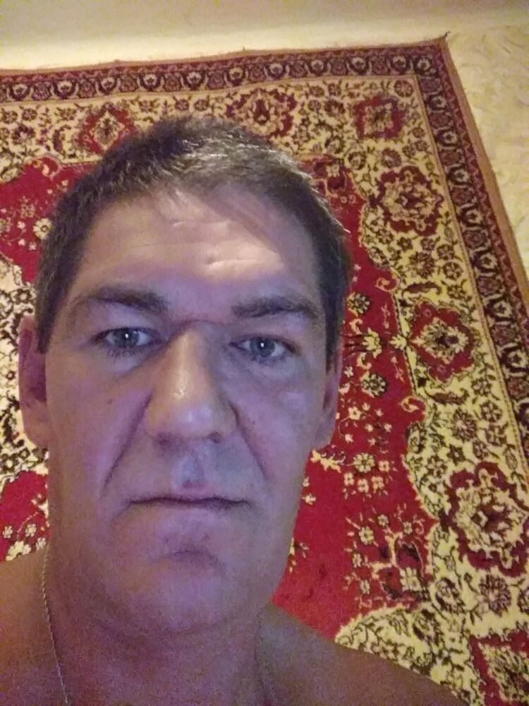  8446713  , 53 ,    
