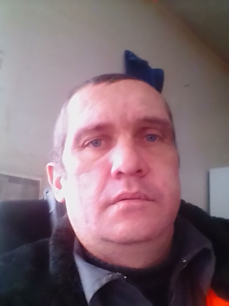  31535893  , 43 ,    