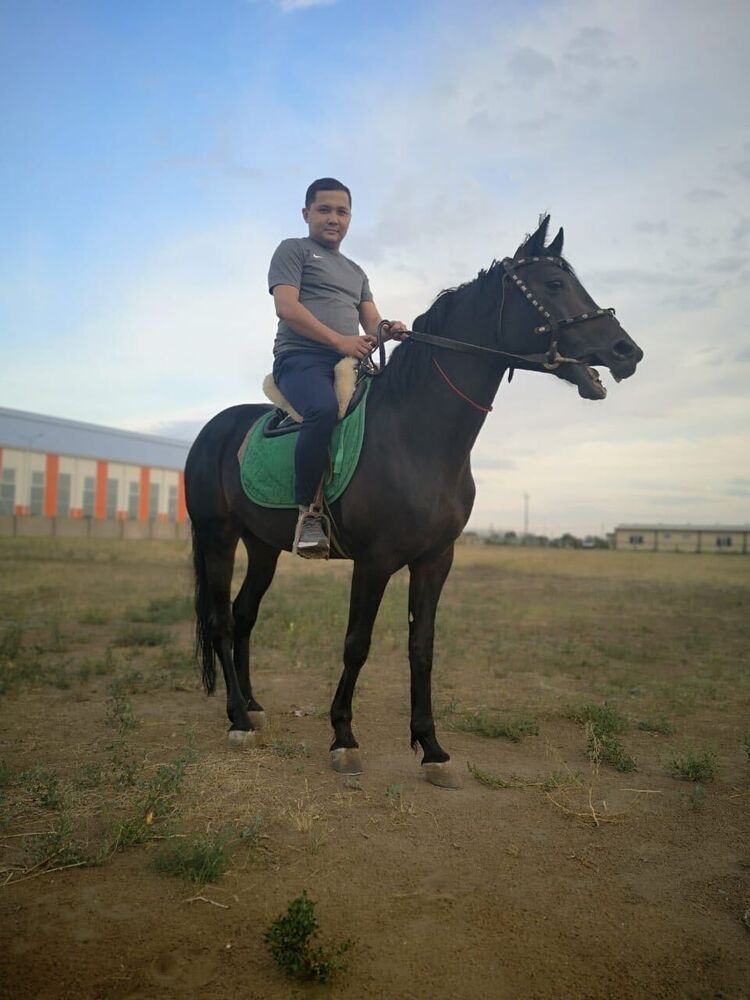  -,   Rauan, 38 ,   ,   