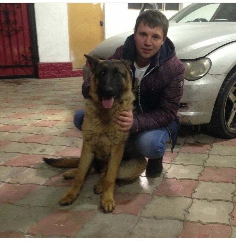 ���������� ������, ���� ������� Denchick, 35 ���, ������������ ��� ������, ����� � ���������, c�������� ���������, ���������