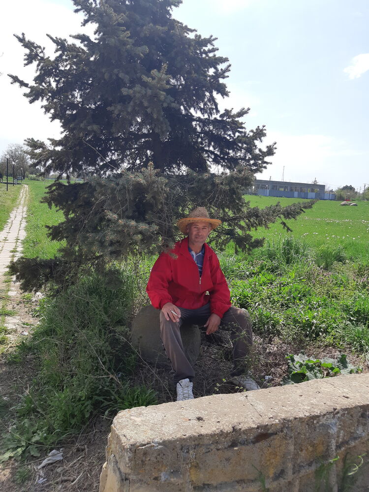 ���� 26749733 ������� ���, 50 ���, ���� ���������� � ����