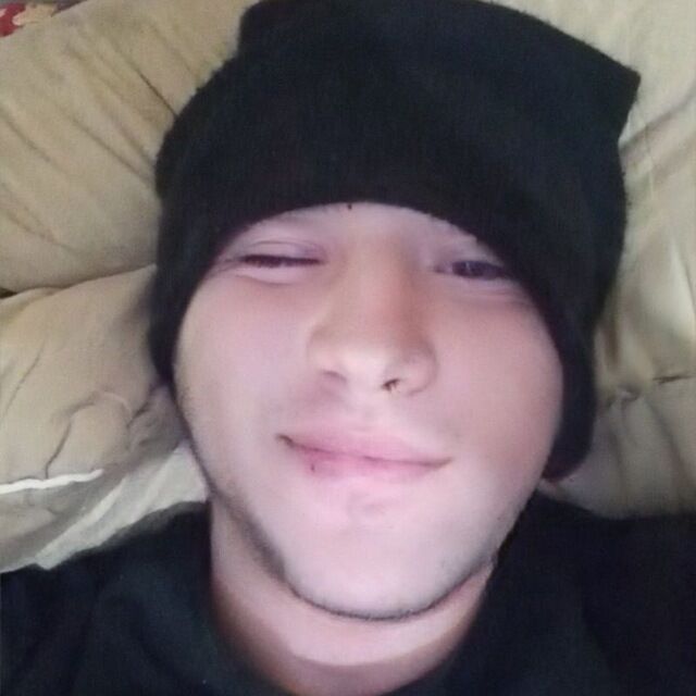 ���� 41433973 ������� ������, 33 ����, ���� ���������� � ���������