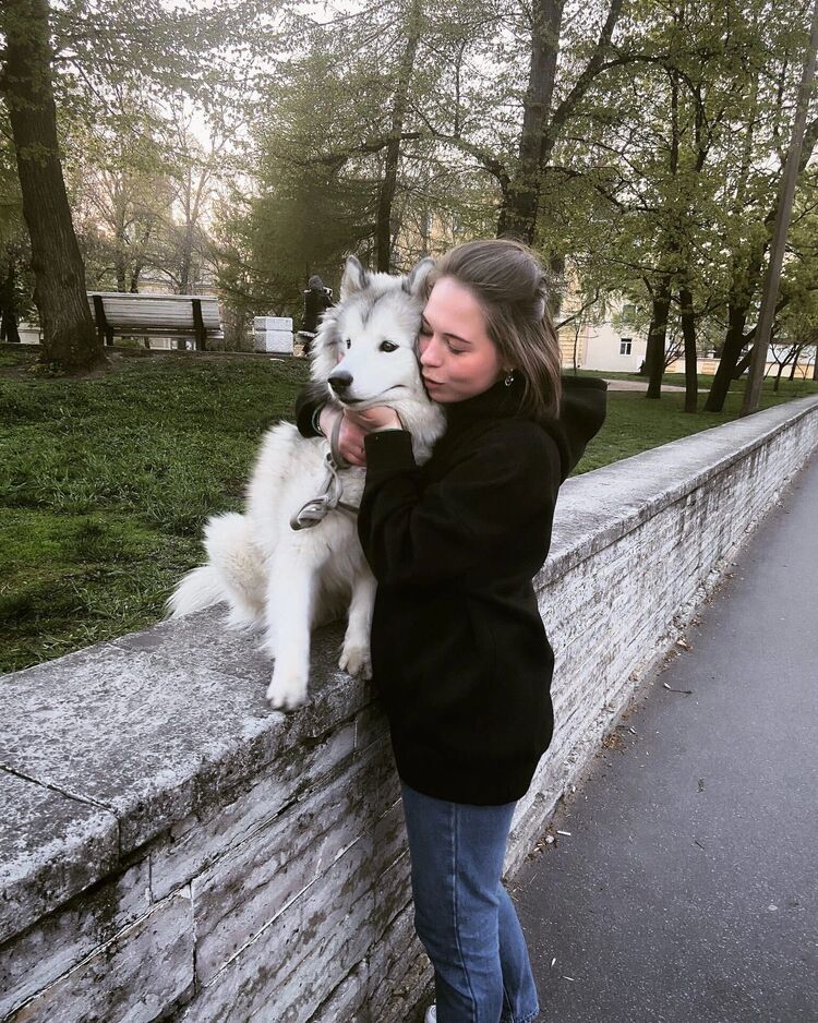  27091063  , 29 ,    -