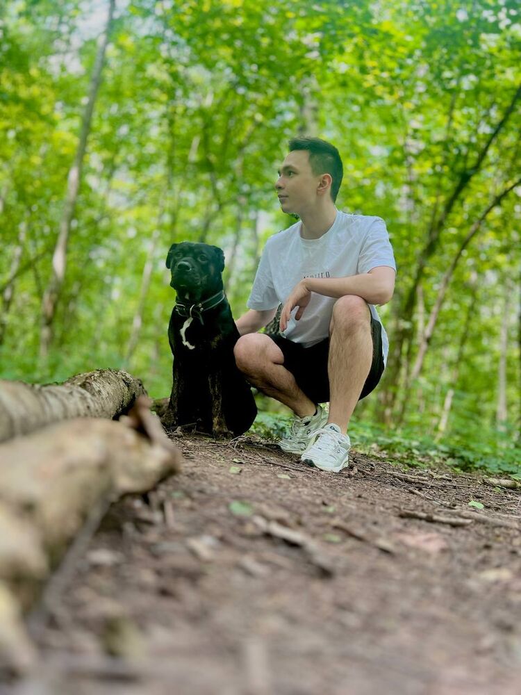 ���������� ������, ���� ����� ������, 23 ����, ������������ ��� ������, ����� � ���������, c�������� ���������, ���������