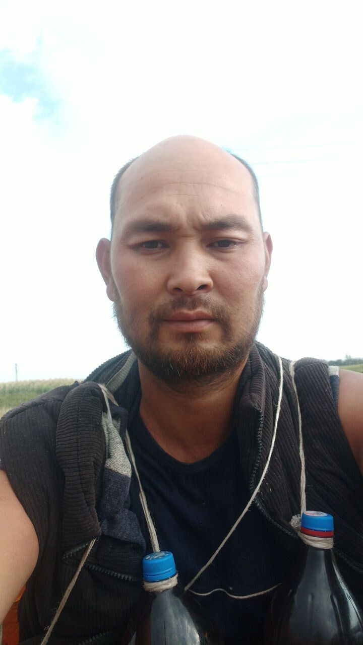  52872133  , 32 ,    