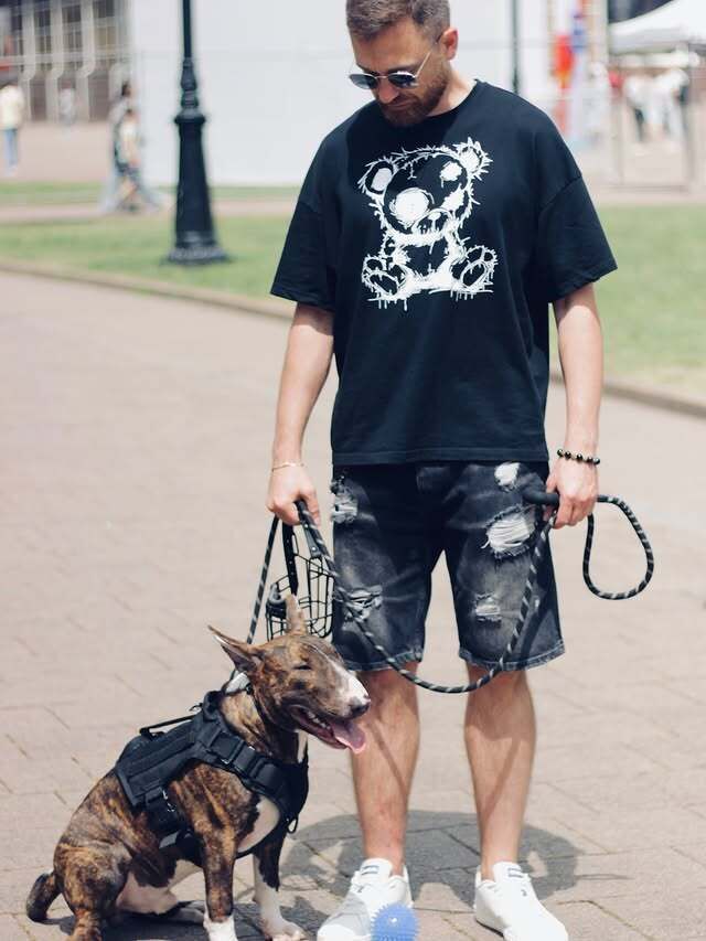  53890463  , 37 ,    --