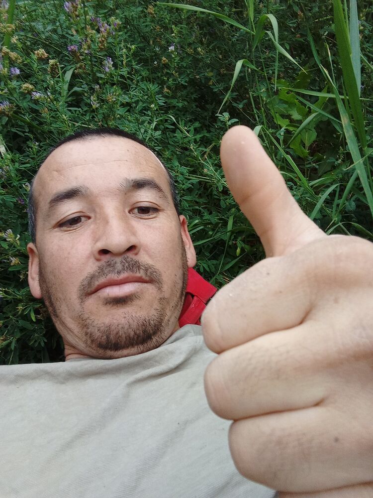  35594023  , 36 ,    