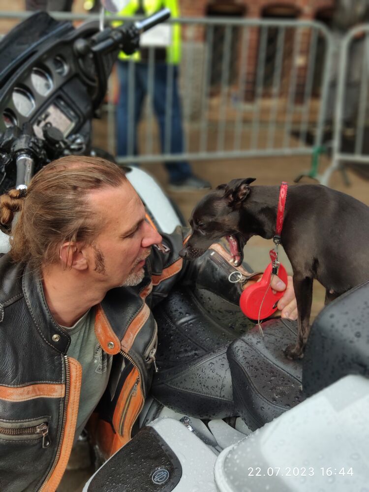 ���� 40587053 ������� ����, 50 ���, ���� ���������� � �����-����������