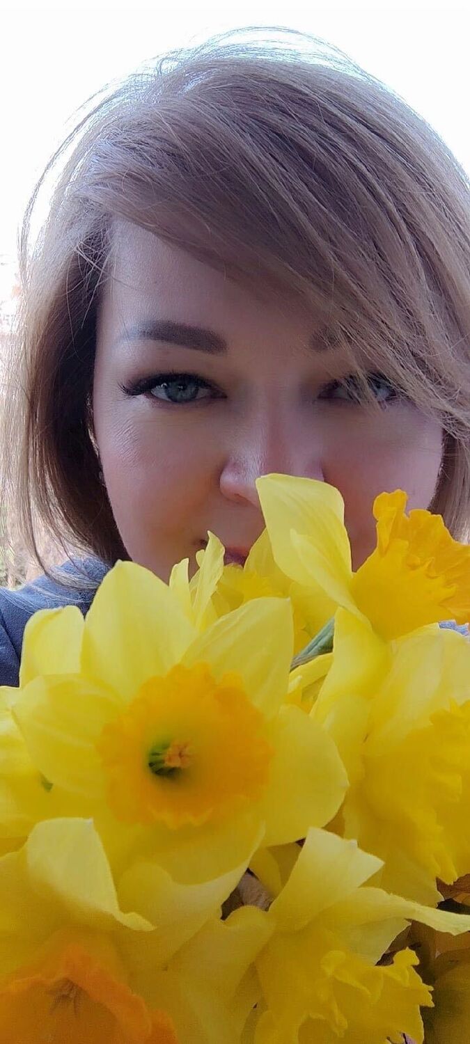  54356913  , 44 ,    -