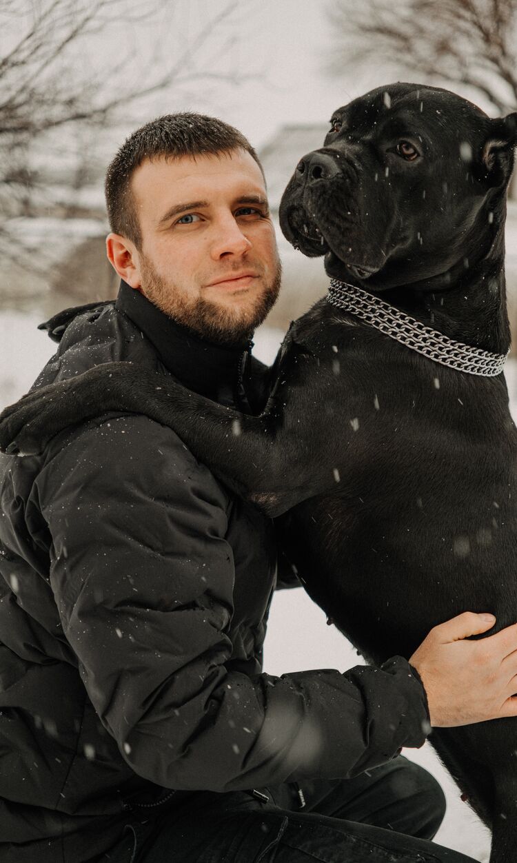 ���� 50216143 ������� ������, 30 ���, ���� ���������� � ������