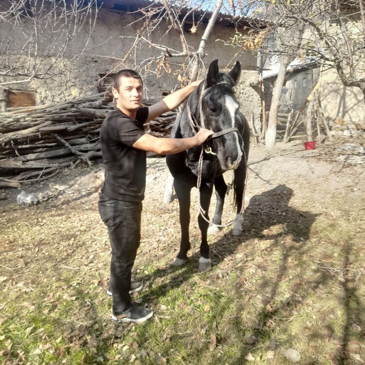 ���� 55628303 ����� ������, 24 ����, ���� ���������� � ������