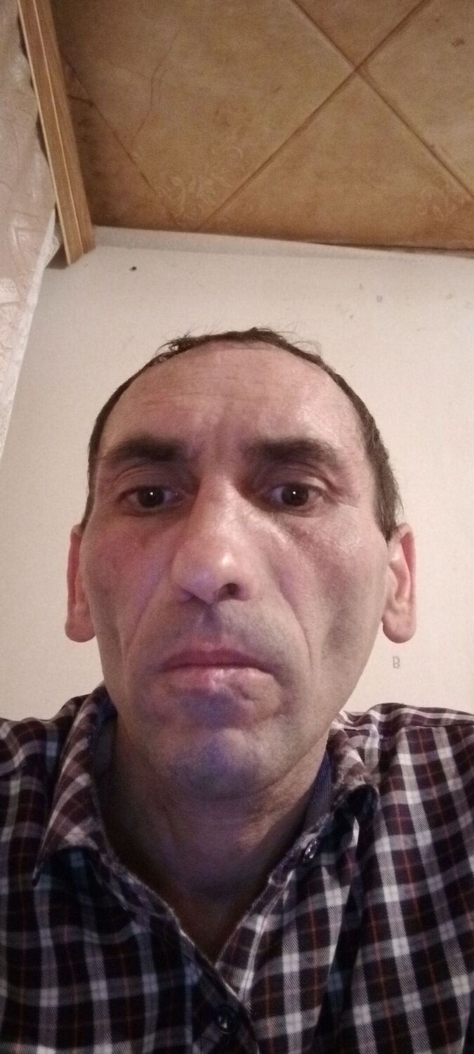  33367103  , 46 ,    