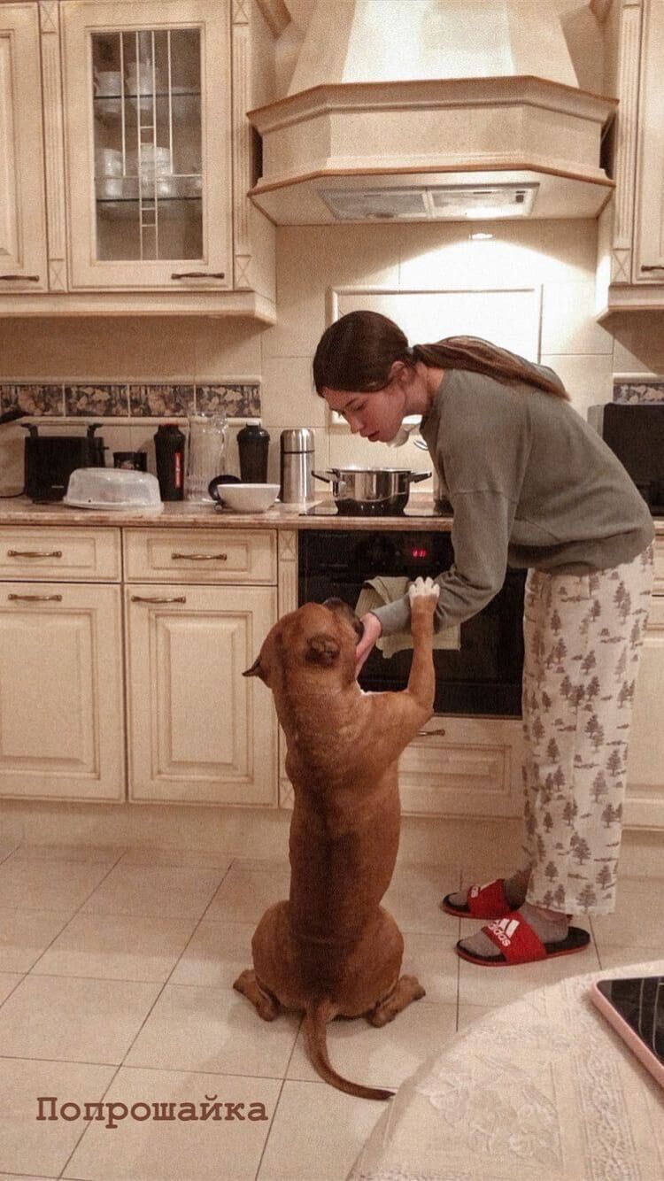 ���������� ������, ���� ������� ��������, 23 ����, ������������ ��� ������, ����� � ���������