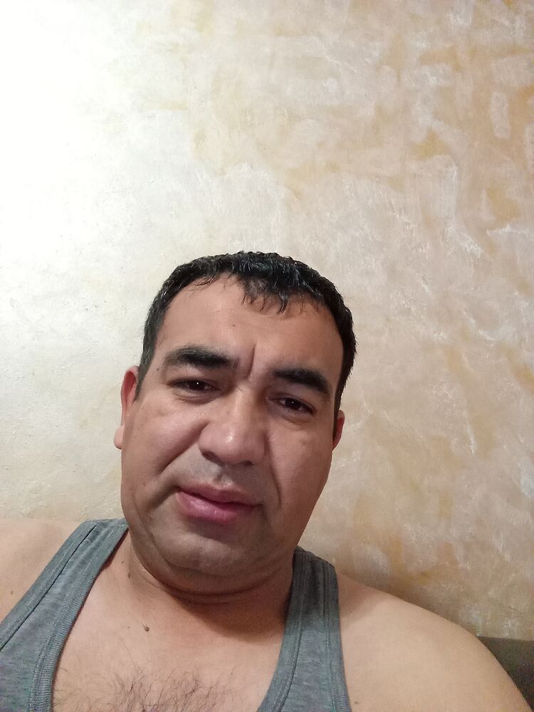  47627973  , 46 ,    