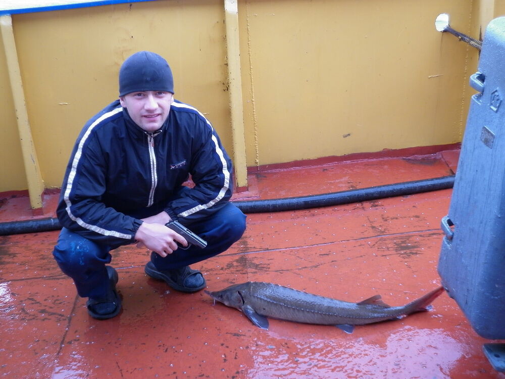 ���������� ����������, ���� ������� �����, 36 ���, ������������ ��� ������, ����� � ���������, c�������� ���������