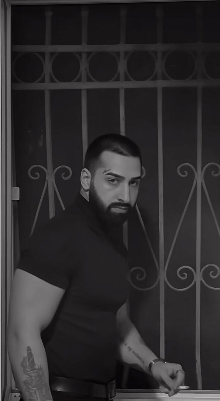 ���� 47321733 ������� ���, 35 ���, ���� ���������� � �������