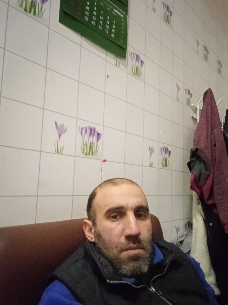  33286313  , 43 ,    