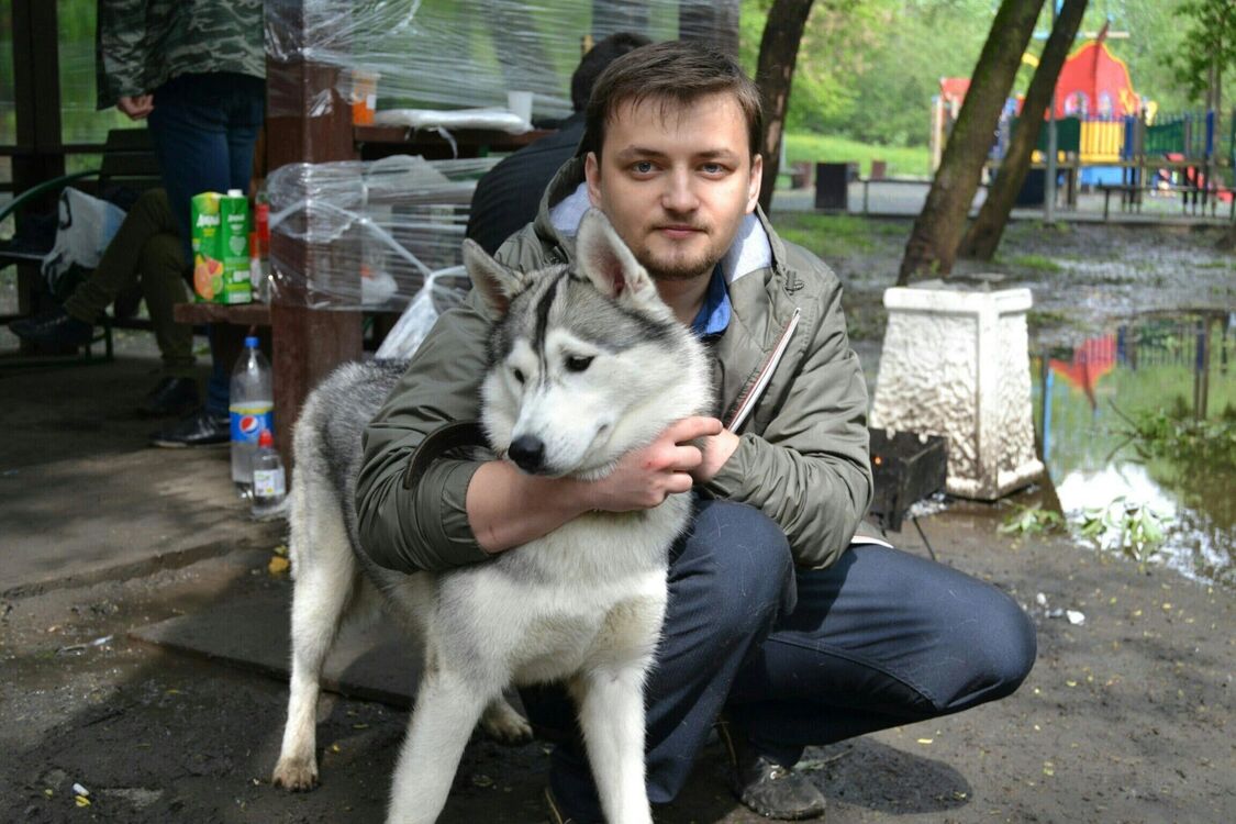 ���� 28008913 ������� �������, 33 ����, ���� ���������� � ������