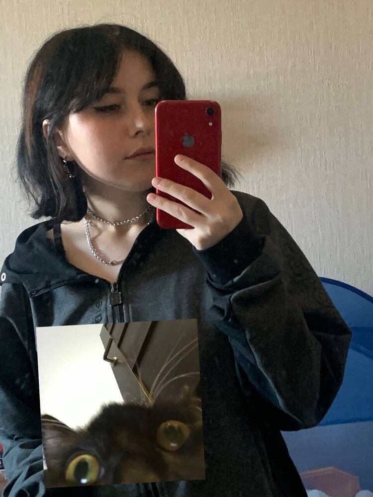  44567163  , 21 ,     