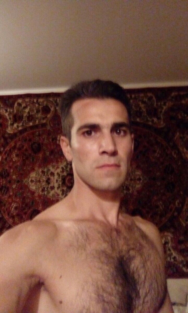  7863553  , 41 ,    
