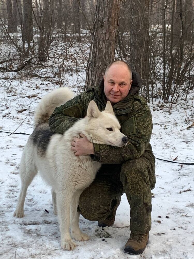 ���������� ������, ���� ������� ��������, 51 ���, ������������ ��� ������, ����� � ���������, c�������� ���������, ���������