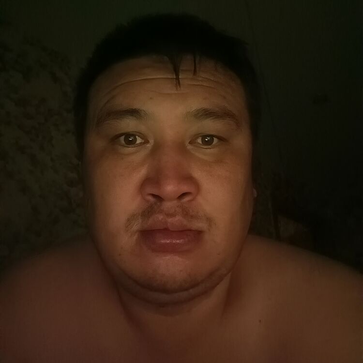  48738773  , 37 ,    