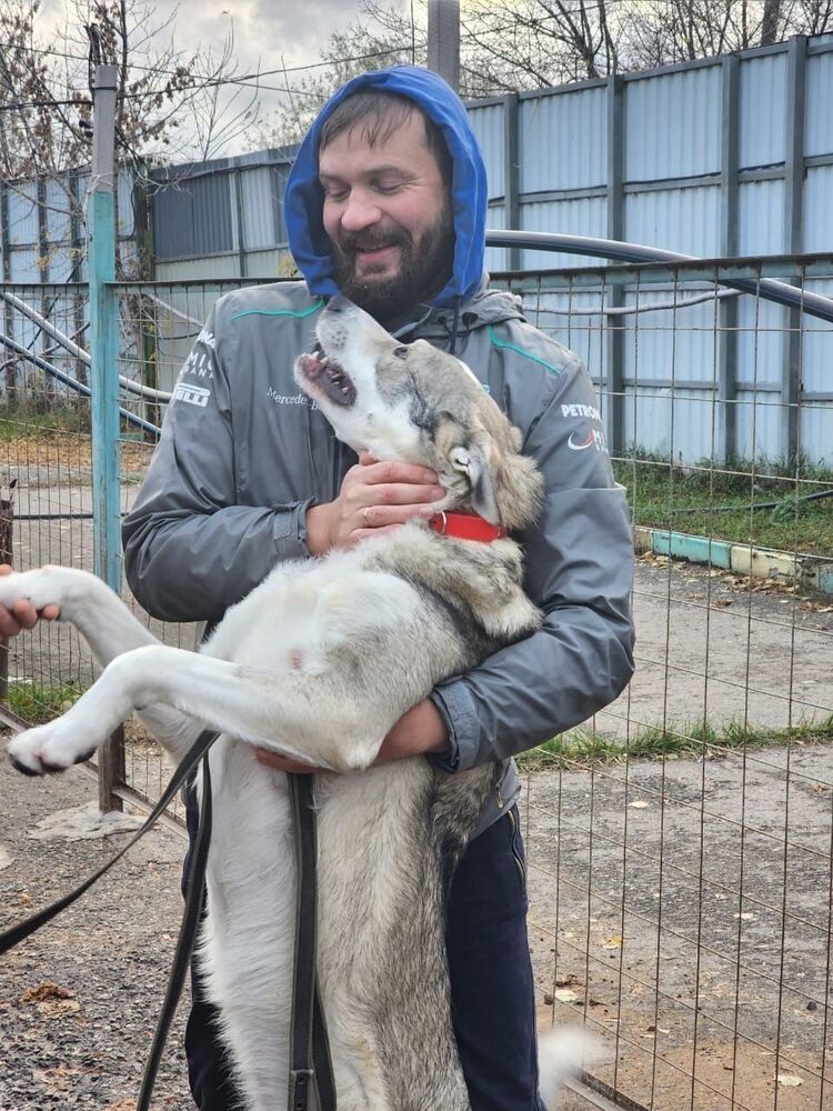 ���� 54218653 ������� ��������, 43 ����, ���� ���������� � ������������