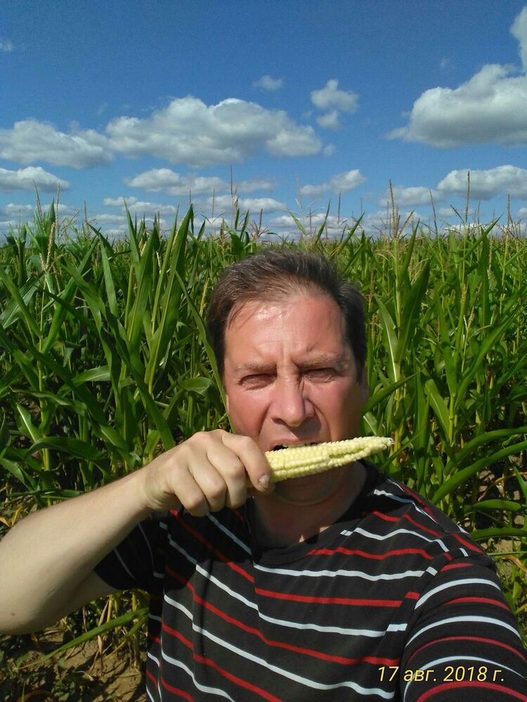  ,   , 55 ,  