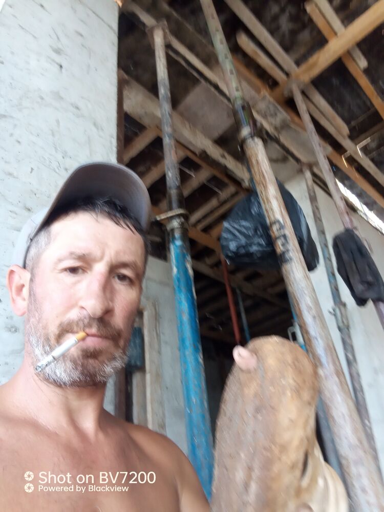  50237453  , 46 ,    