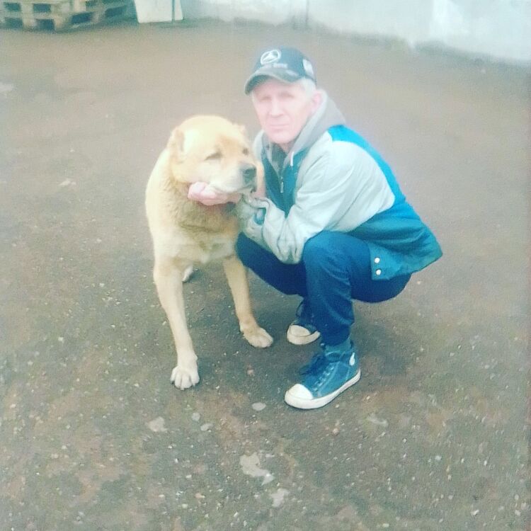 ���� 18230043 ������� ������, 60 ���, ���� ���������� � ���