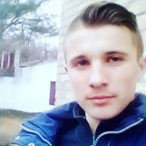  15576733  , 24 ,    