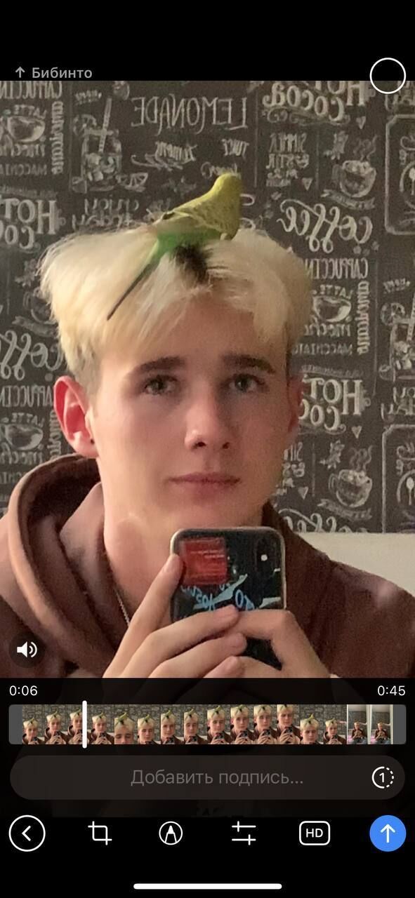 ���� 38817013 ����� Vork, 21 ���, ���� ���������� � �����-����������